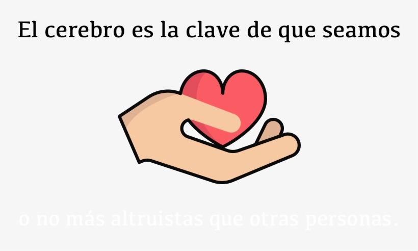 El Cerebro Es La Clave De Que Seamos O No Más Altruistas, transparent png #9187520