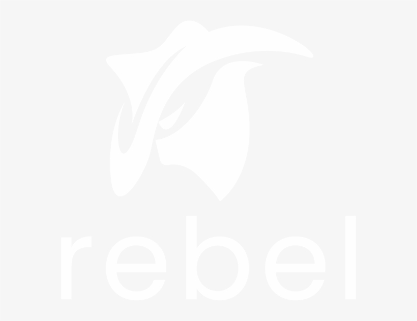 Logo - Netflix Switched At Birth, transparent png #9188712
