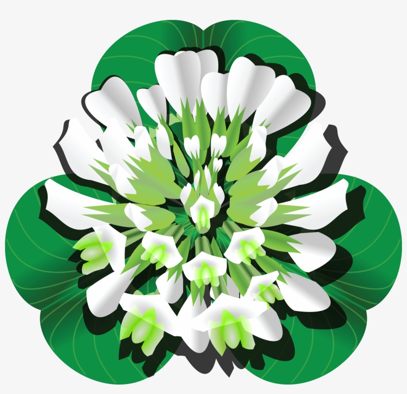 , , - White Clover Clipart, transparent png #9189384