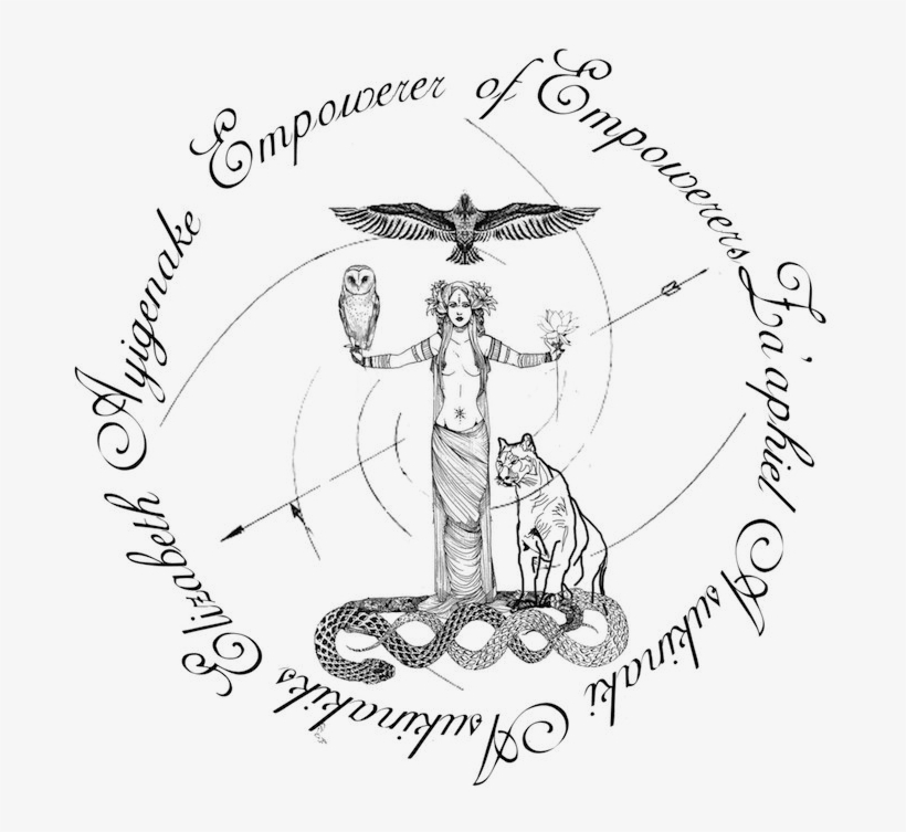 Seal Art Small - Sketch, transparent png #9190462