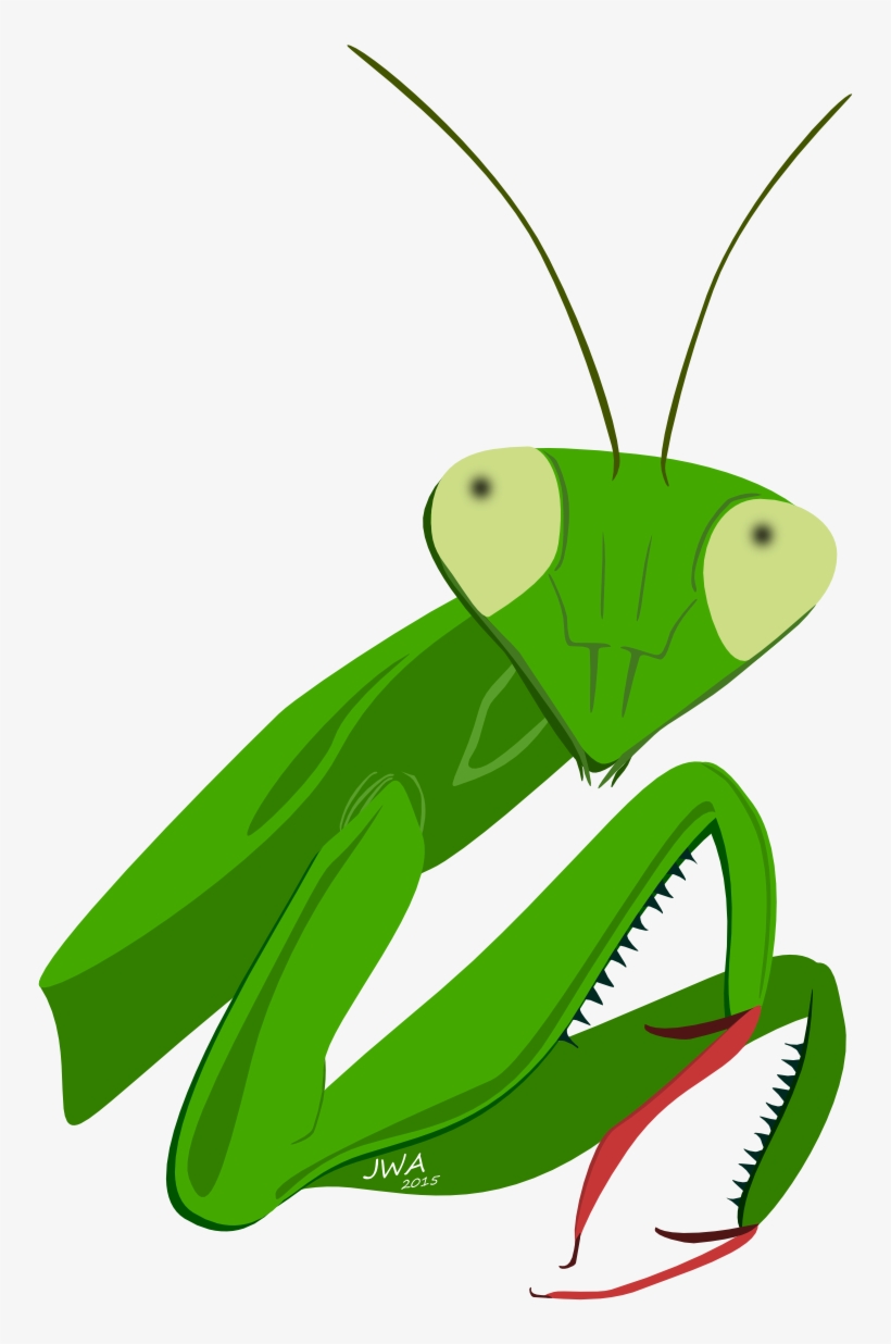 Clip Art Insect Animal Honey Theme - Mantis, transparent png #9191043