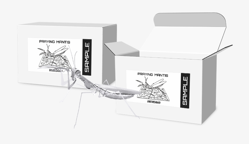 Product Tags - Basketball Moves, transparent png #9191048