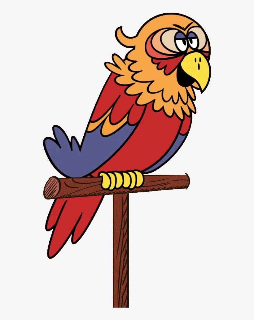 Download - Macaw, transparent png #9192236