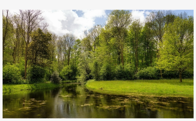 Score 50% - Lg 24mp58vq P, transparent png #9192451