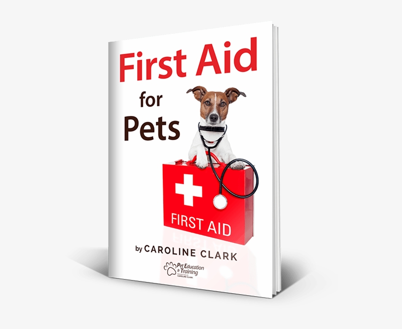 What Of Mas Of Our Classical & Who Want Every Unavailable - Companion Dog, transparent png #9192949