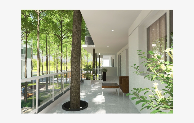 From Caves To Mana Tropicale - Window Screen, transparent png #9192973