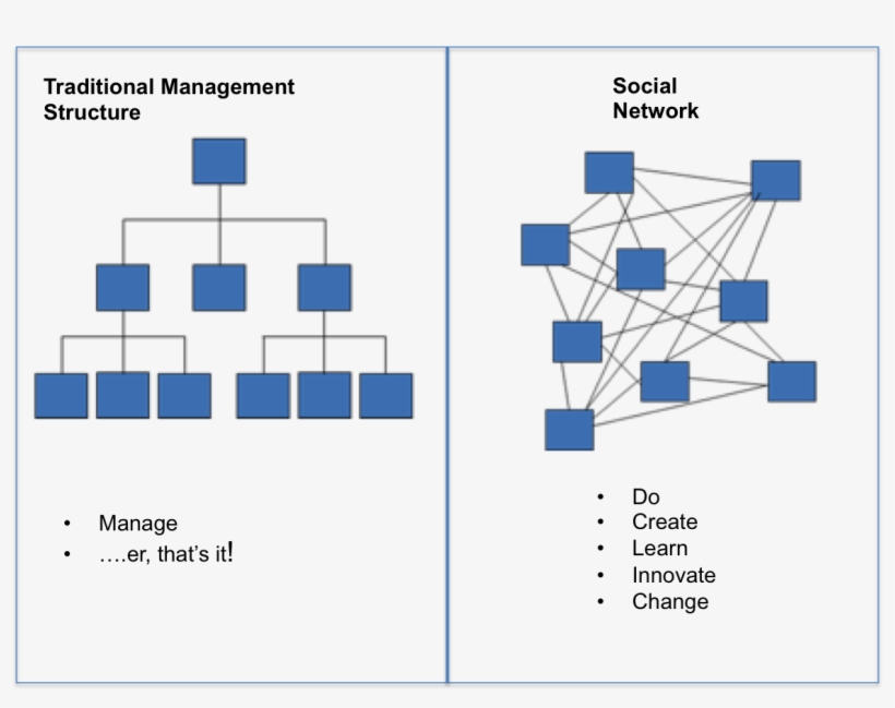 Hierarchies & Networks - Hierarchy Vs Social Network, transparent png #9193762