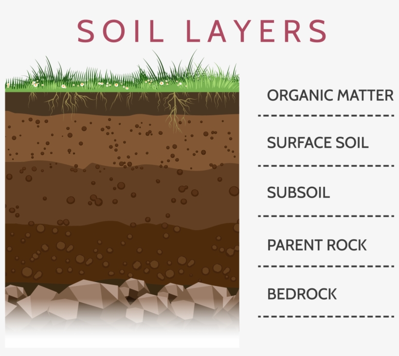 Soil-layers - Layers Of Soil, transparent png #9194527