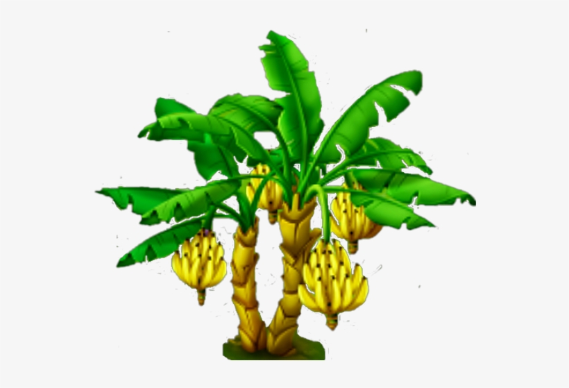 Name Five Plants That We Can Eat, transparent png #9195426
