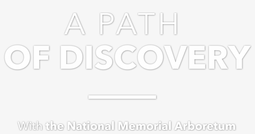 A Path Of Discovery With The National Memorium Arboretum - Keep Calm And Blame Sorcery, transparent png #9198099