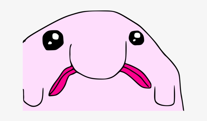About - “ - R9k Blobfish, transparent png #9198251