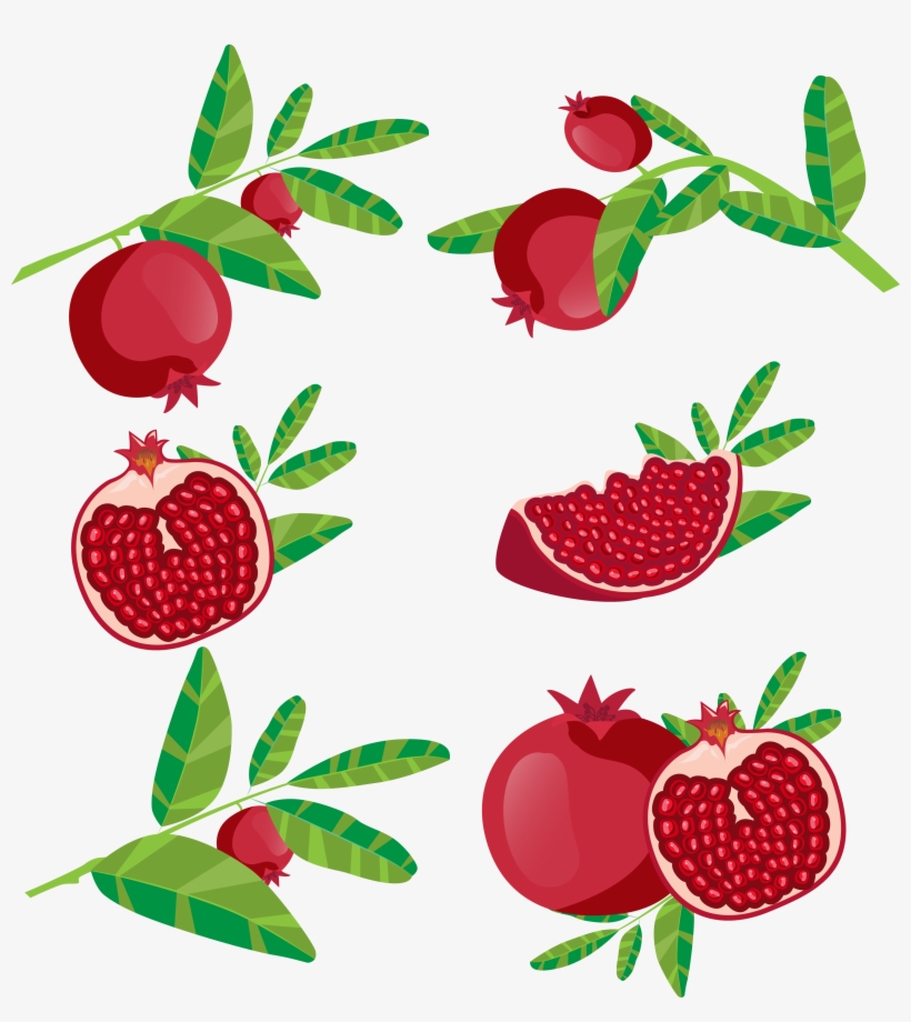 Vector Library Download Juice Fruit Icon Red Transprent - Delima Vector, transparent png #9198582
