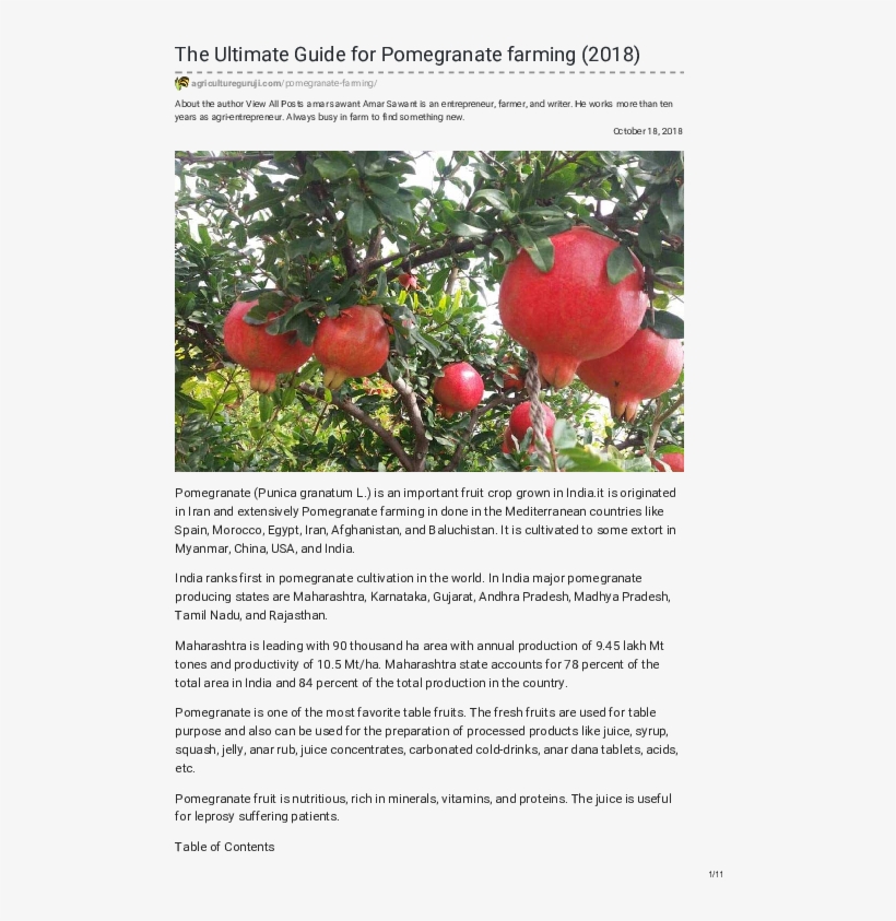 Pdf - Pomegranate, transparent png #9199027
