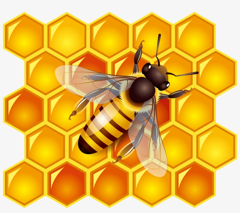 Bees Transparent Honey Australian Png Free Stock - Bee And Honey, transparent png #920150