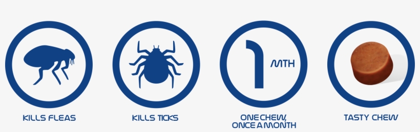 Kills Fleas And Ticks - Flea And Tick Png, transparent png #920561