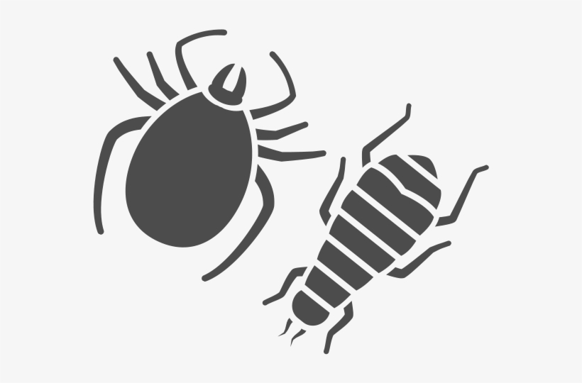 Find Out Flea Exterminator Cost In Nashville, Tn - Tennessee, transparent png #920735