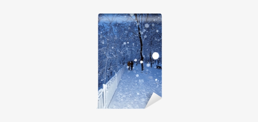 Couple In Walking In Winter Park In Snowfall - Снег Идет, transparent png #921031