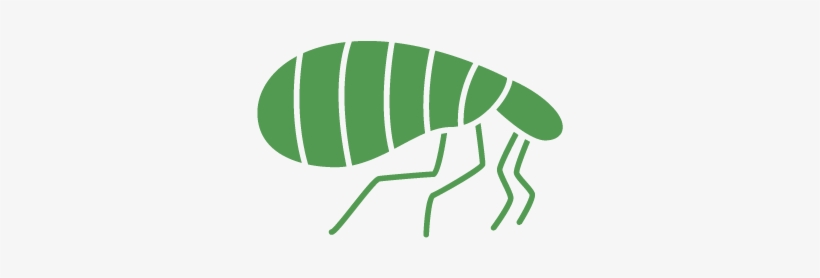 Pest Control Service For Fleas - Pro Pacific Pest Control, transparent png #921336