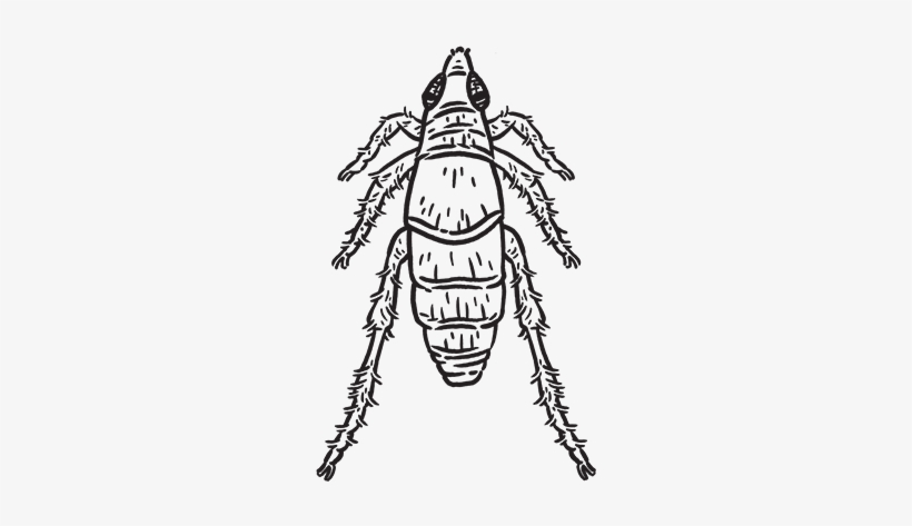 Cartoon, transparent png #921839