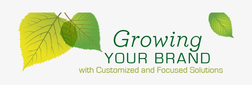 Growing Your Brand With Customized And Focused Solutions - Marketing, transparent png #922864