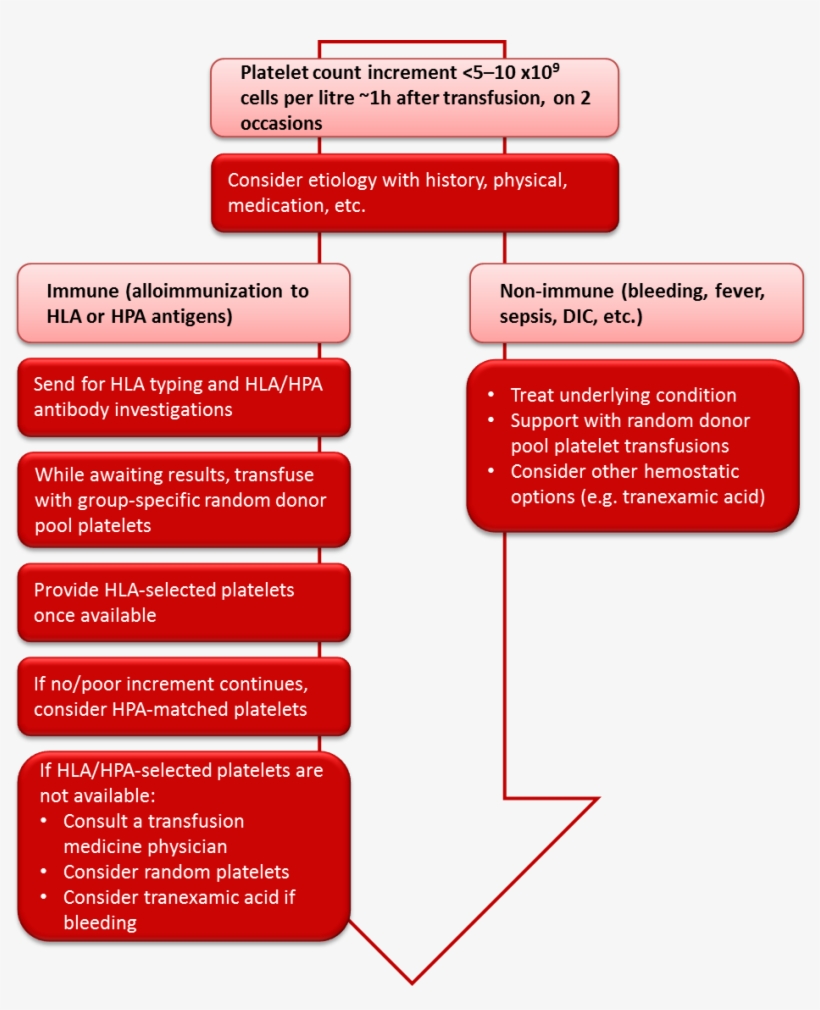 Cgtt Chapter 18 Figure - Orange, transparent png #922957