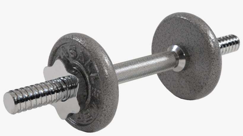 Dumbbell Set 4kg - Casall Dumbbell Set 4 Kg 4 Kg, transparent png #923036
