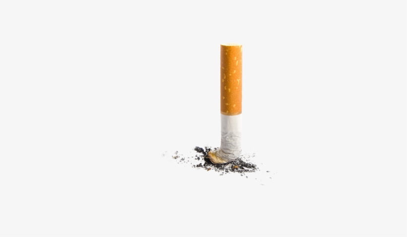 Cigarette Butt Transparent Background, transparent png #923090