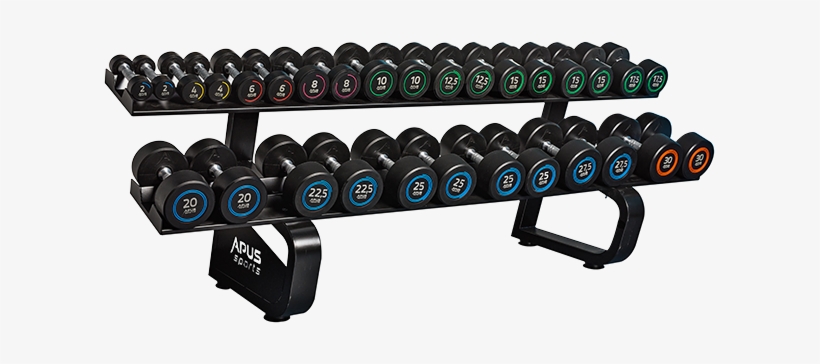 Warranty - Apus Sport, transparent png #923223