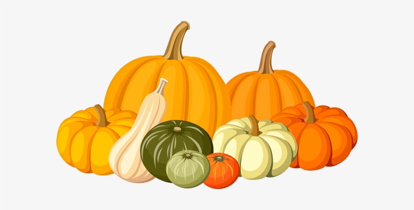 Autumn Pumpkins Png Clip Art Image - Pumpkin And Fall Clip Art, transparent png #923908