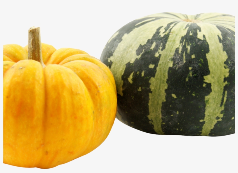 Pumpkins Png Image - Pumpkins Transparent, transparent png #924075