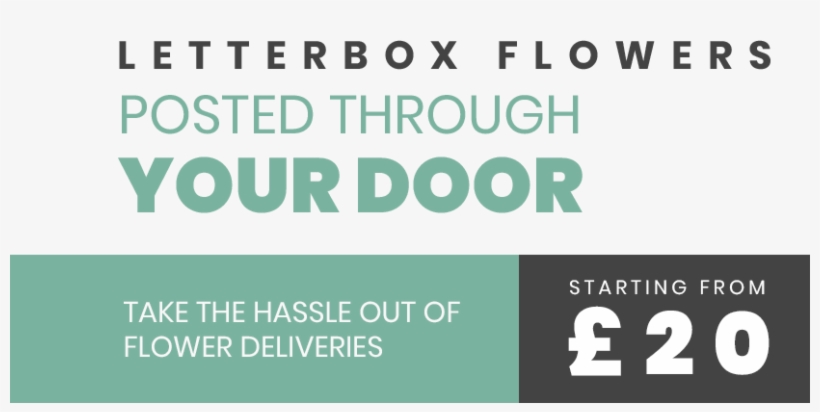 Want It For Fri 16 November Order In The Next 31h 59m - Flower, transparent png #924594