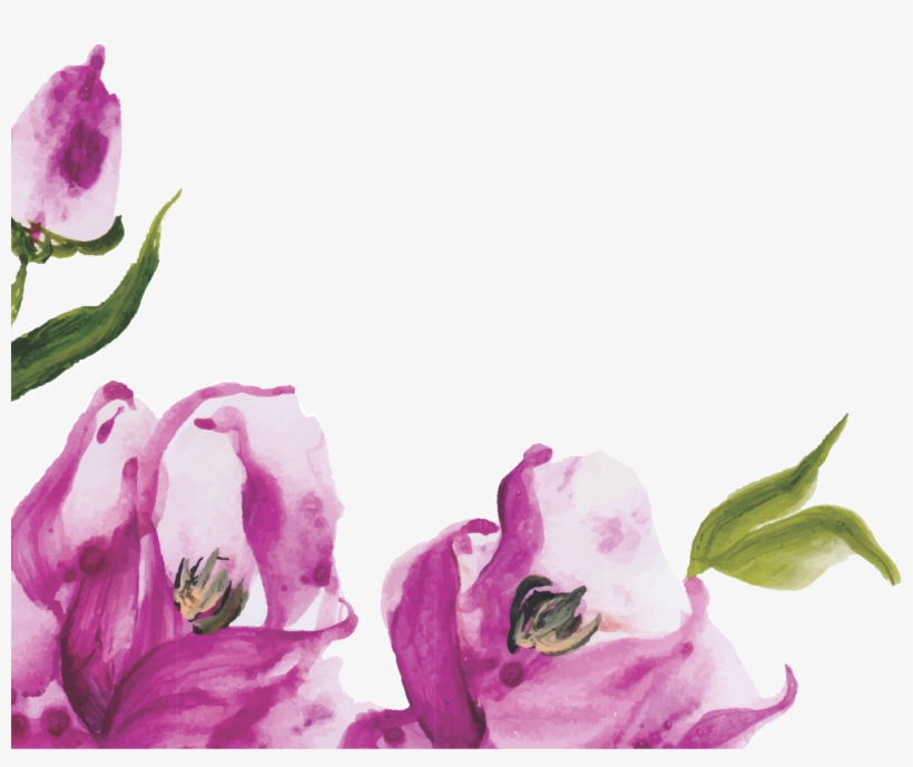 Floral Marsala Floral Rosa Floral Rustico Floral Lilás - E Nợ A Một Đời Hạnh Phúc, transparent png #925077