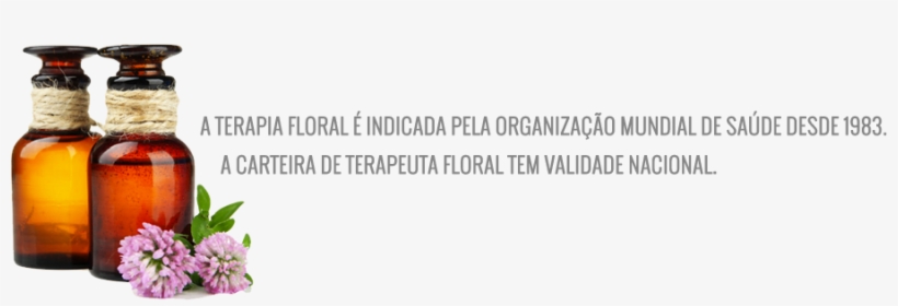 Terapia-floral - Zum Richtigen Duft By Markus Schirner, transparent png #925394