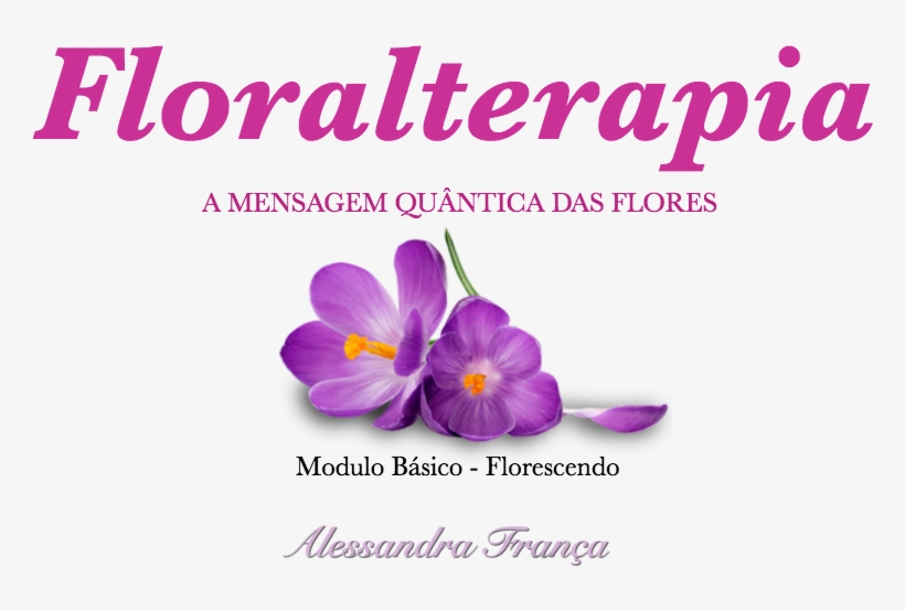 Soul, transparent png #925491