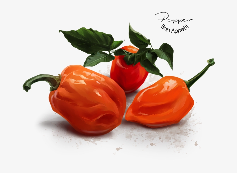Фотография - Habanero Chili, transparent png #925570