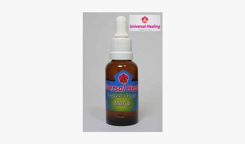 Essência Maria - Kiwifruit, transparent png #925666