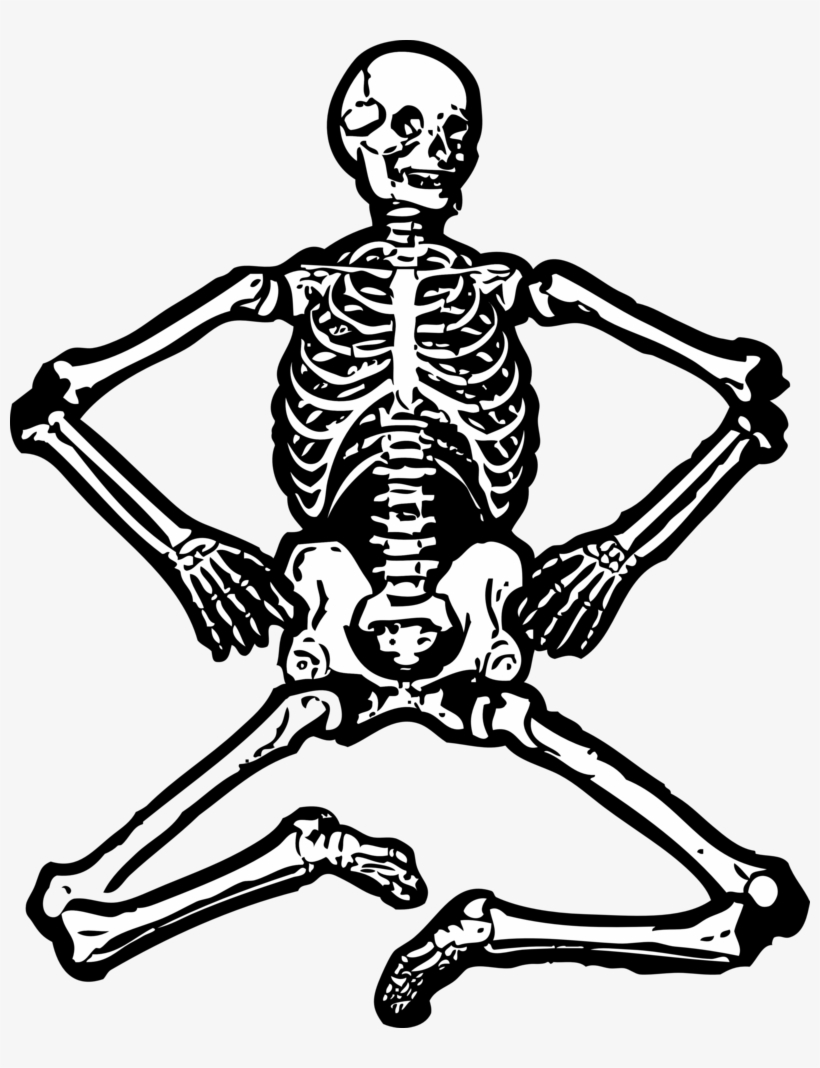 Human Skeleton Skull Human Body Download Free Commercial - Human Skeleton Clipart, transparent png #925720