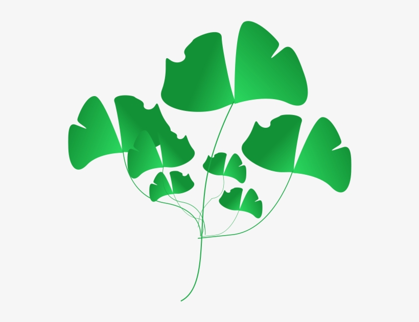 Green Leaf Clipart Png, transparent png #925760