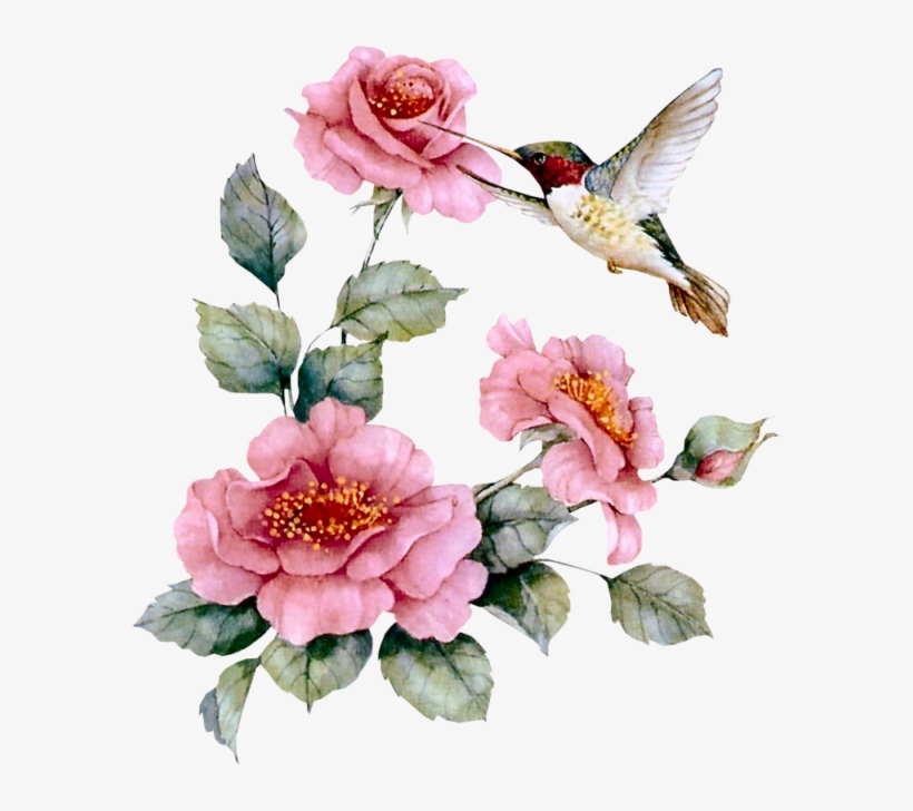 Pássaros Em Imagens Png - Hummingbird With Pink Roses Necklace ,bird Gifts, transparent png #925792