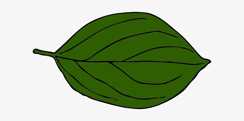 Green Leaves Clipart Fall - Dark Green Leafs Png, transparent png #925822