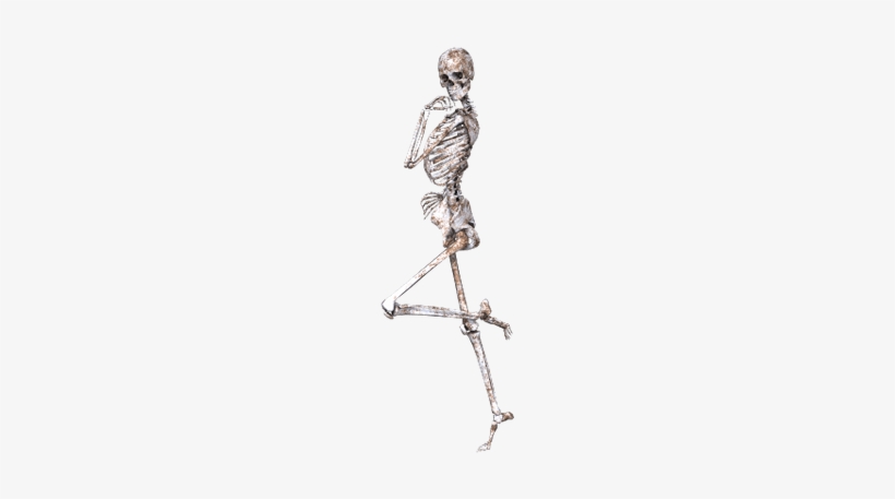 Skeleton On One Leg - Esqueletos Png, transparent png #925827