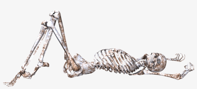 Download - Skeleton Lying Down Png, transparent png #925904