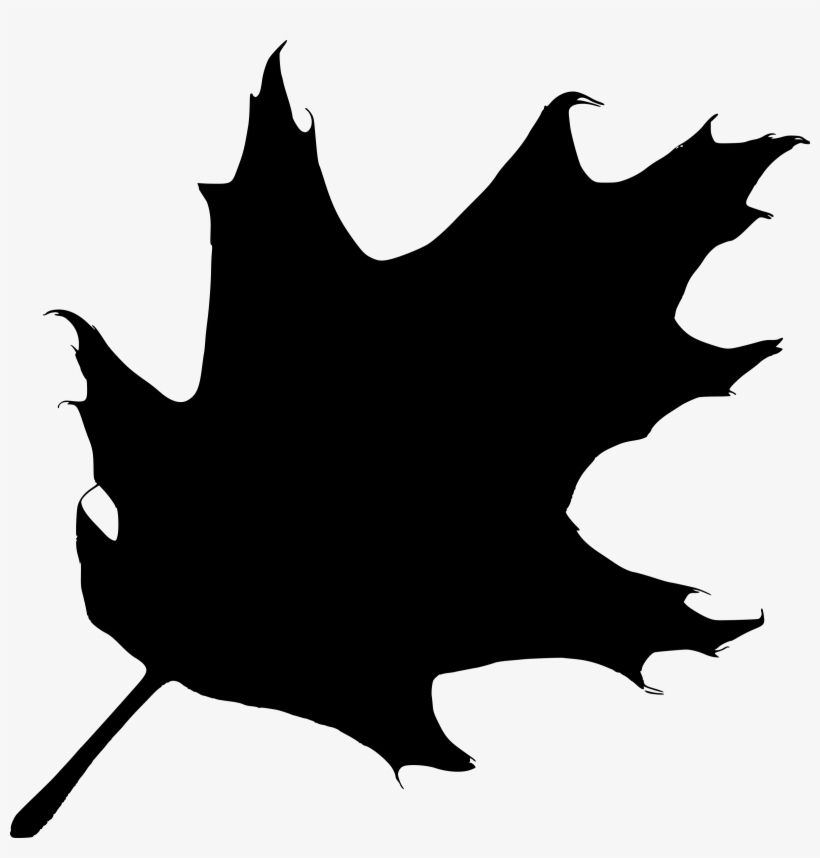 Oak Leaf Silhouette - Leaf Silhouette Clip Art, transparent png #925929