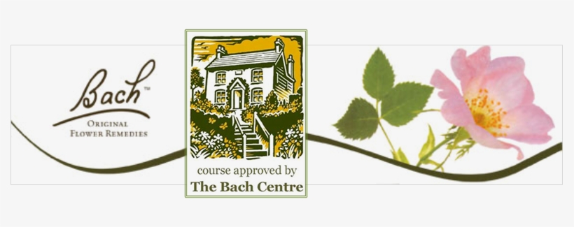 Programa Internacional De Educação Em Florais De Bach - Bach Flower Rescue Remedy Cream 30 G, transparent png #925930