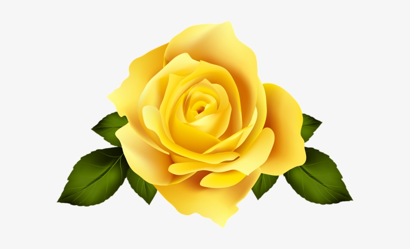 Yellow Rose Flower Png Download - Rosa Groga Sant Jordi 2018, transparent png #925996