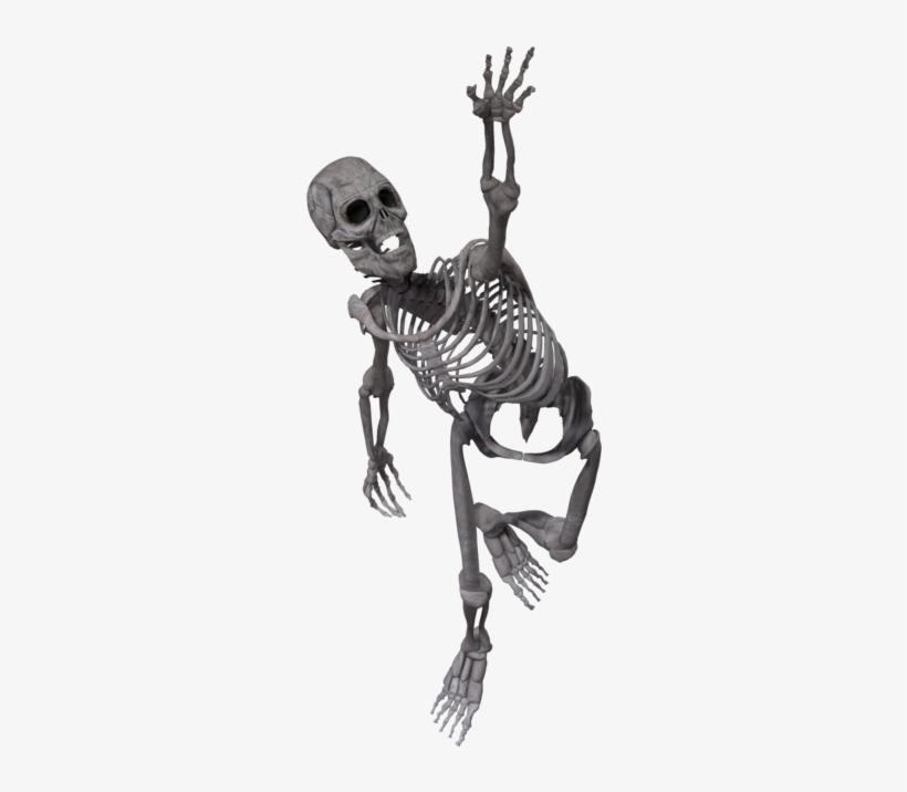 Skeleton Png - Skeleton Running Transparent Background, transparent png #926022