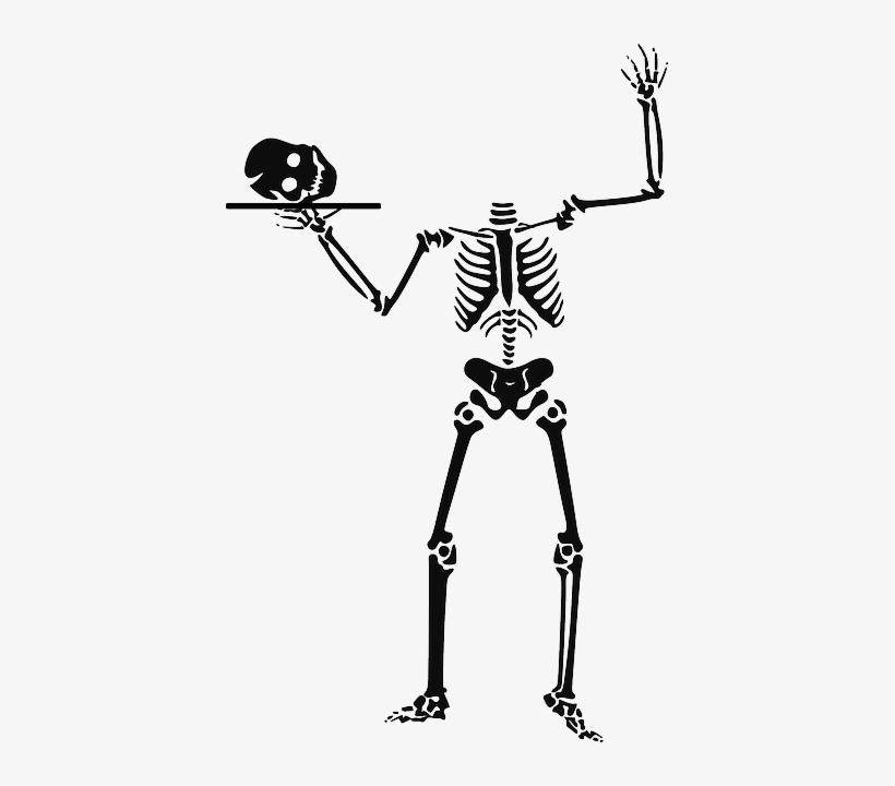 Skeleton, Headless, Halloween, Witch, Corps, Ghost - Skeleton Clipart, transparent png #926045