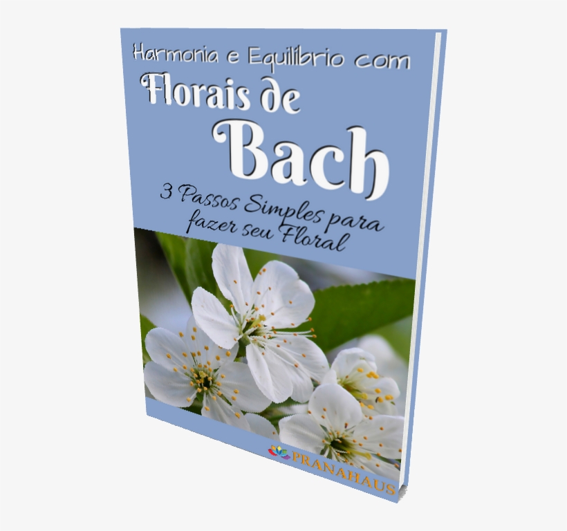 Harmonia E Equilíbrio Com Florais De Bach - Black And White Flower Photography, transparent png #926092