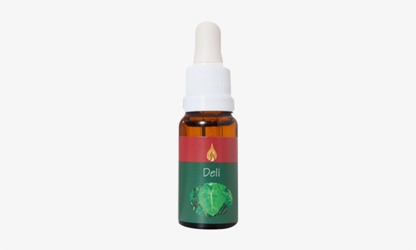 Floral Da Ararêtama 15ml - Fruit, transparent png #926120