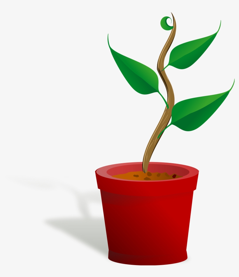 Plant Growing Clipart Png For Web, transparent png #926542